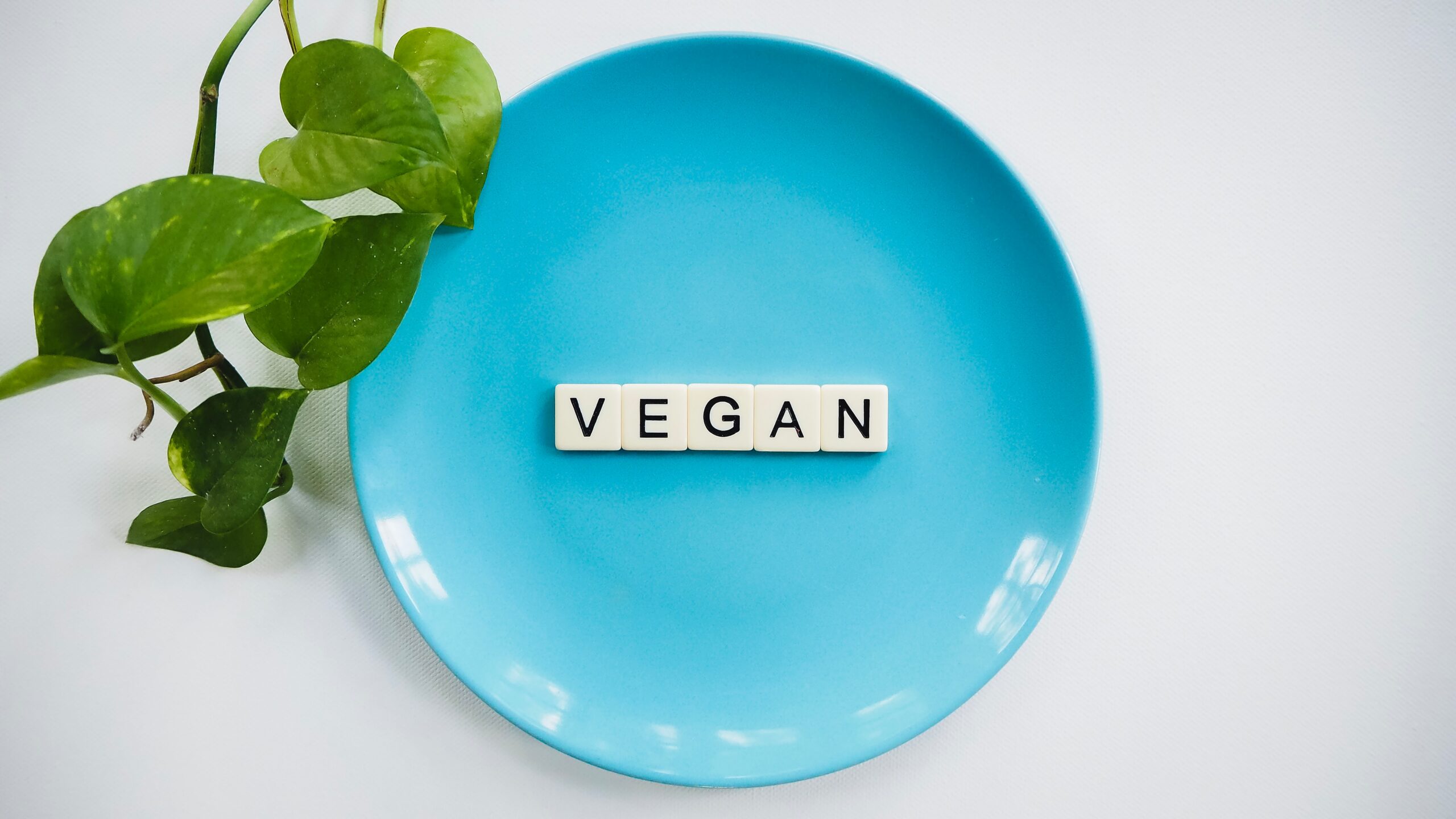 Vegan Diet – May Be What You Need to Lose Weight