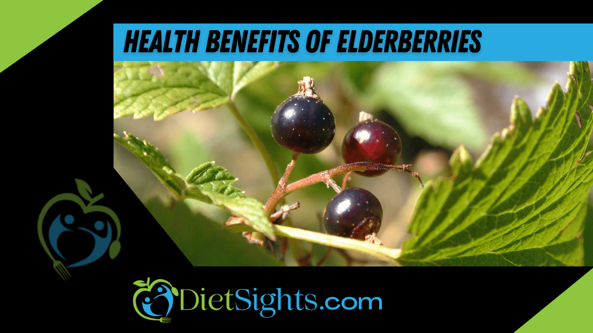 Some Health Benefits of Elderberries You Need to Know
